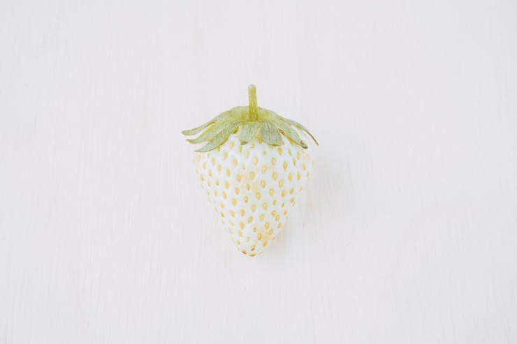 Foto close-up de morango contra fundo branco