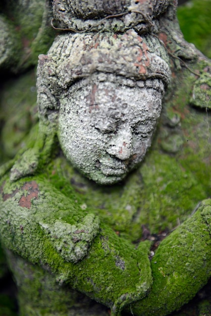 Close-up de musgo em escultura