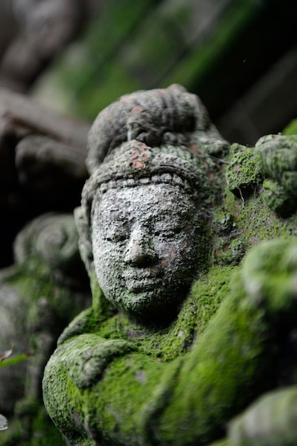 Close-up de musgo em escultura