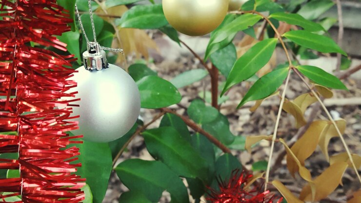 Foto close-up de ornamentos de natal pendurados em plantas ao ar livre