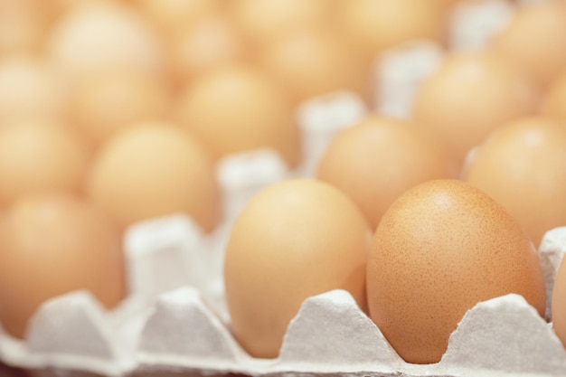 Close-up de ovos em cartão