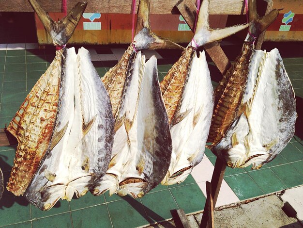 Close-up de peixes amarrados