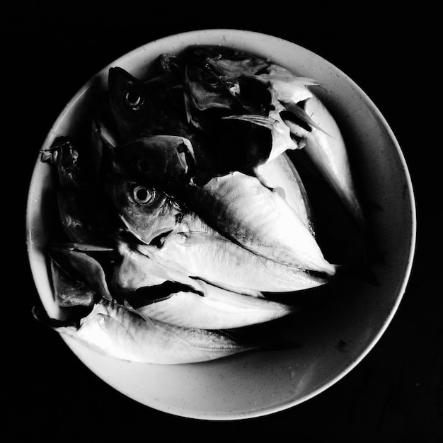 Foto close-up de peixes em uma tigela sobre fundo preto
