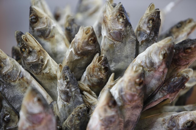 Close-up de peixes mortos para venda na barraca do mercado