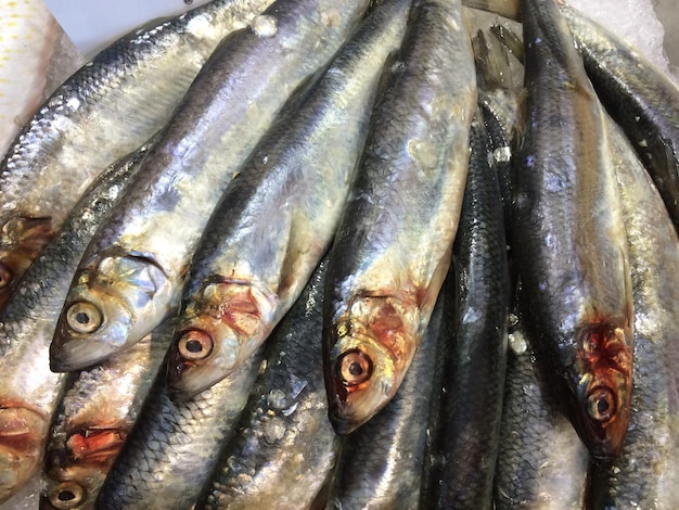 Close-up de peixes para venda na barraca do mercado