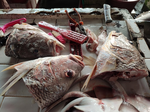 Foto close-up de peixes para venda na barraca do mercado