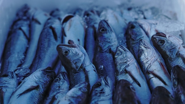 Close-up de peixes para venda no mercado