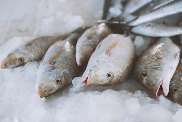 Close-up de peixes para venda no mercado