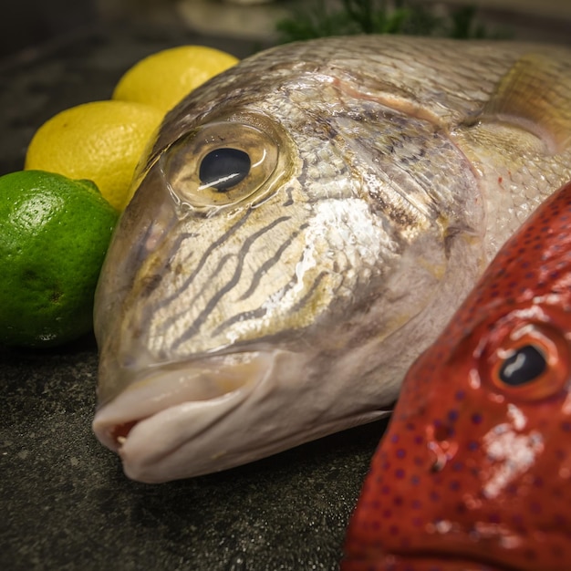 Foto close-up de peixes para venda no mercado