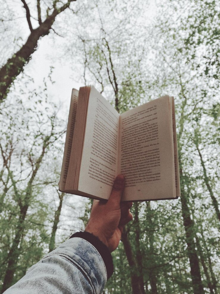 Foto close-up de pessoa segurando um livro contra uma árvore