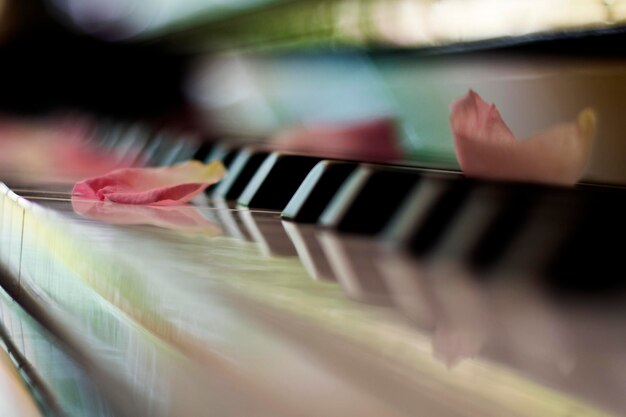 Foto close-up de pétalas de rosa em teclas de piano