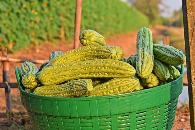 Foto close-up de pimentas verdes em uma cesta