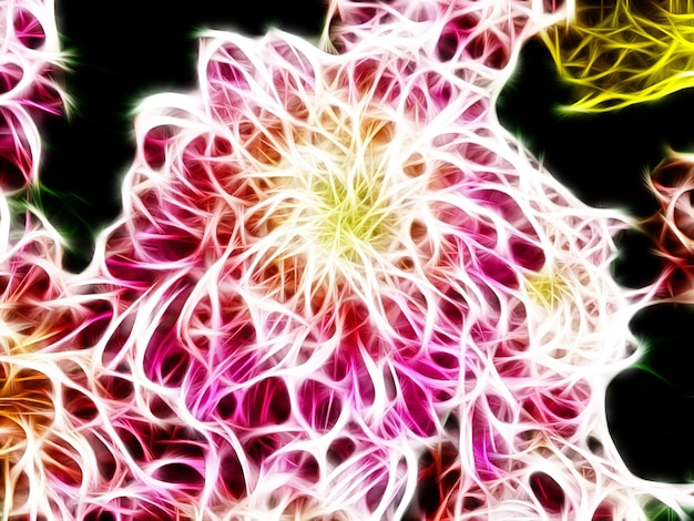 Foto close-up de pintura de luz de flores multicoloridas