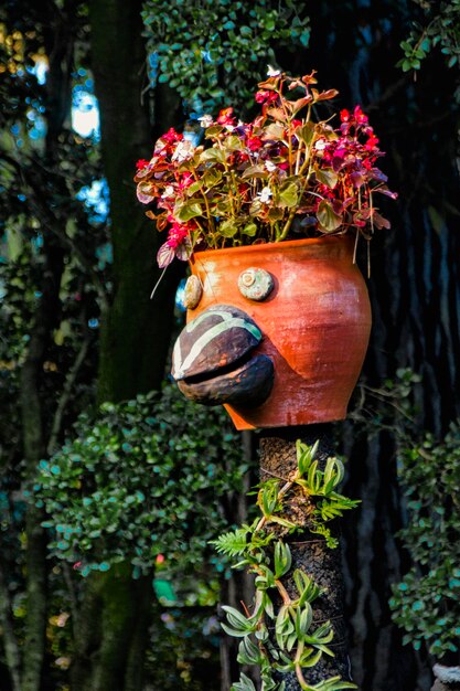 Foto close-up de planta de flores vermelhas no jardim