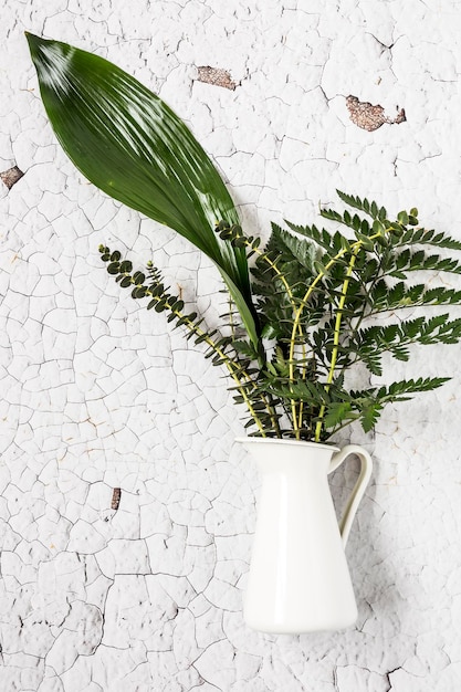 Foto close-up de planta em vaso contra parede branca