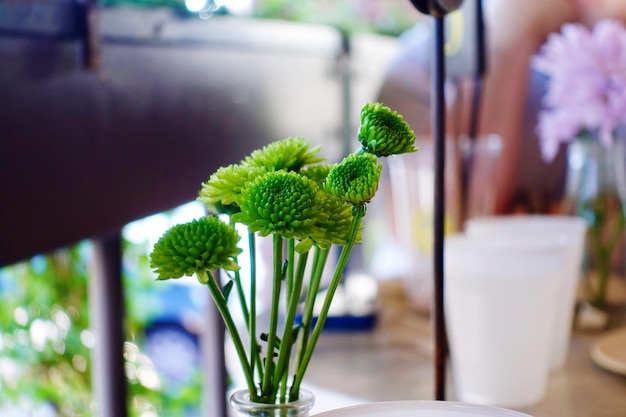 Foto close-up de planta em vaso na mesa