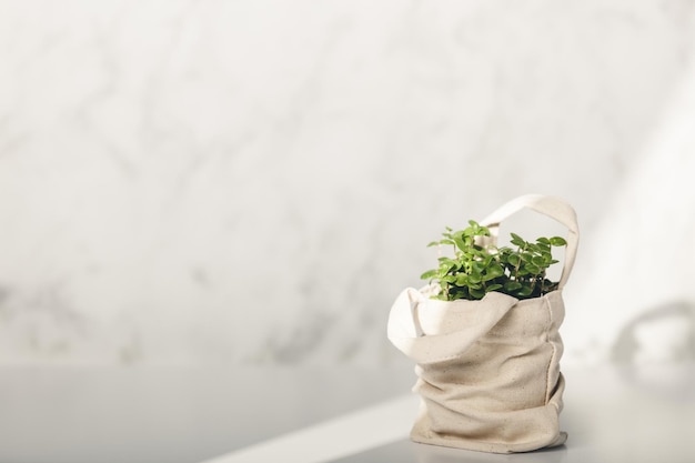 Close-up de planta em vaso na mesa
