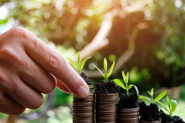 Foto close-up de plantação manual de mudas em pilha de moedas