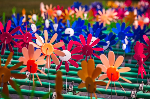 Foto close-up de plantas com flores multicoloridas