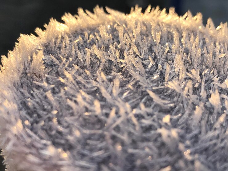 Foto close-up de plantas congeladas durante o inverno