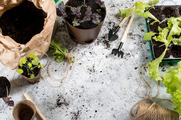 Close-up de plantas e ferramentas de jardinagem