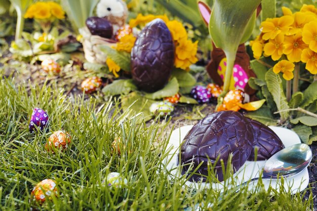 Foto close-up de plantas no campo