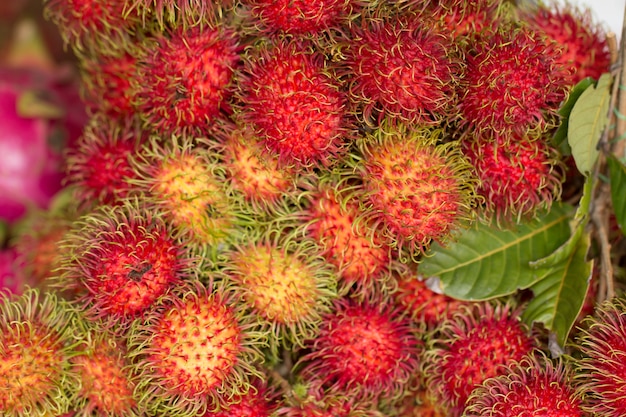 Close up de Rambutans frescos vermelhos