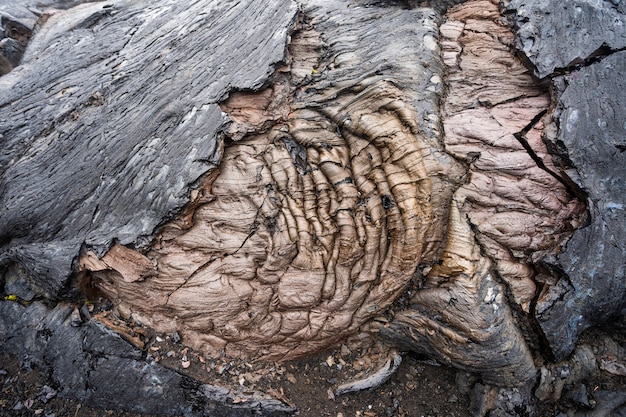 Close-up de redemoinho de lava negra no parque nacional dos vulcões do havaí