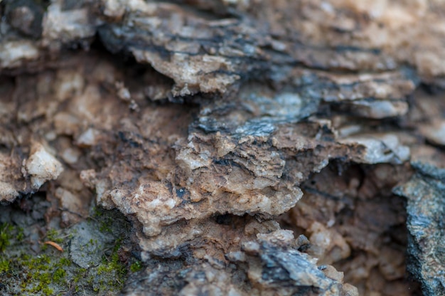 Close-up de rochas, sal e minerais. Profundidade superficial de campo.