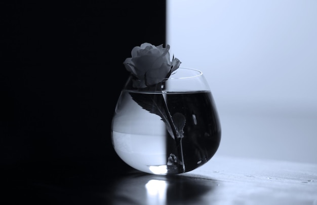 Close-up de rosa branca em vaso de vidro na mesa