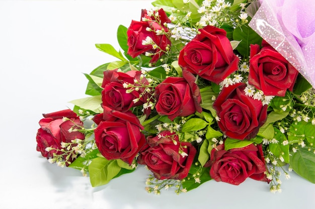 Close-up de rosas contra fundo branco