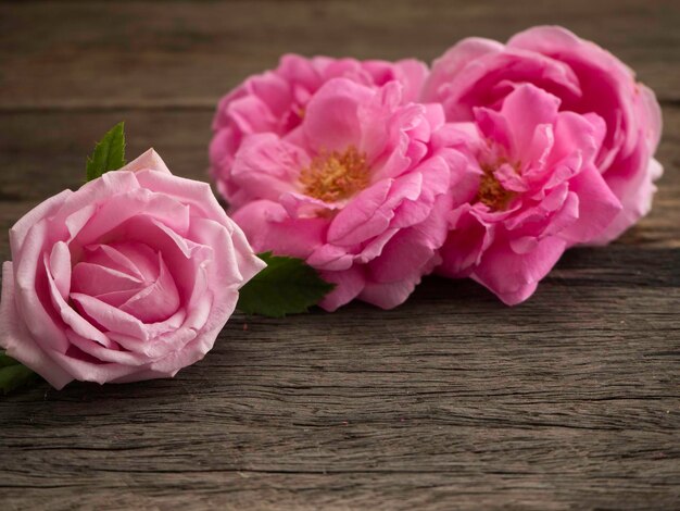 Foto close-up de rosas cor-de-rosa na mesa