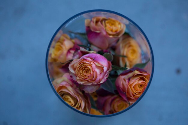 Foto close-up de rosas em vidro