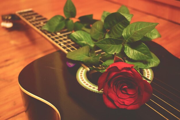 Foto close-up de rose na guitarra