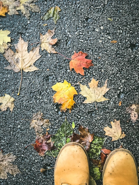 Foto close-up de sapatos por folhas de outono caídas na estrada