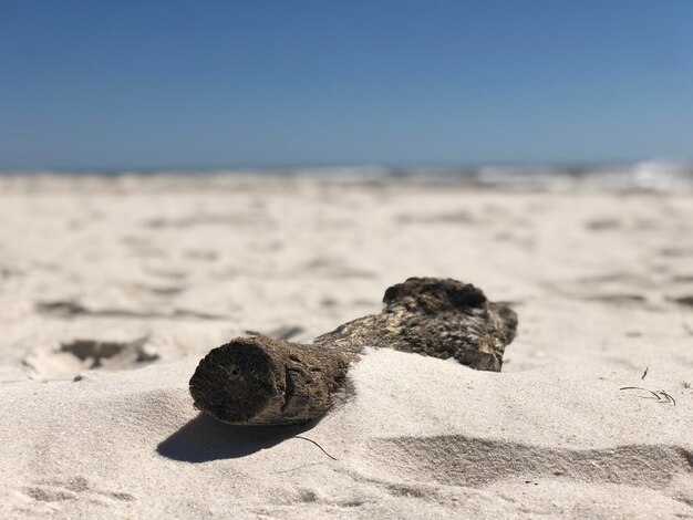 Foto close-up de seixos na praia contra o céu durante um dia ensolarado