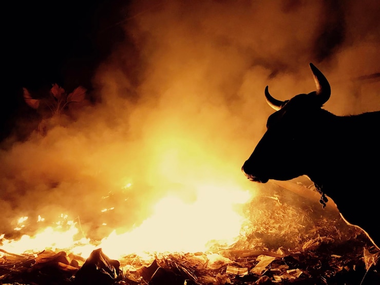 Foto close-up de silhueta de fogueira contra o céu à noite