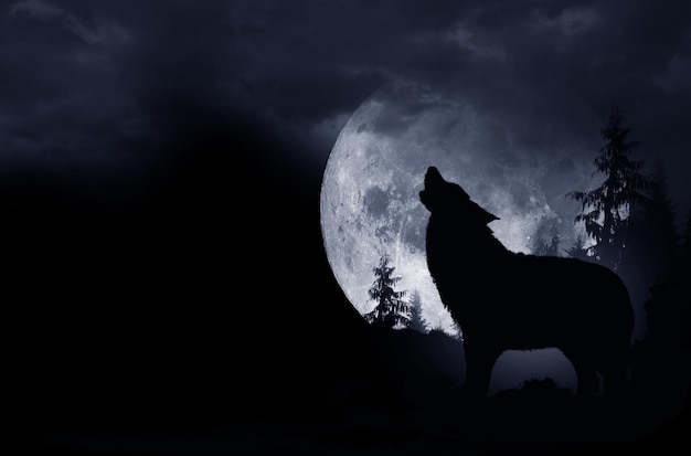 Foto close-up de silhueta de lobo contra a lua à noite