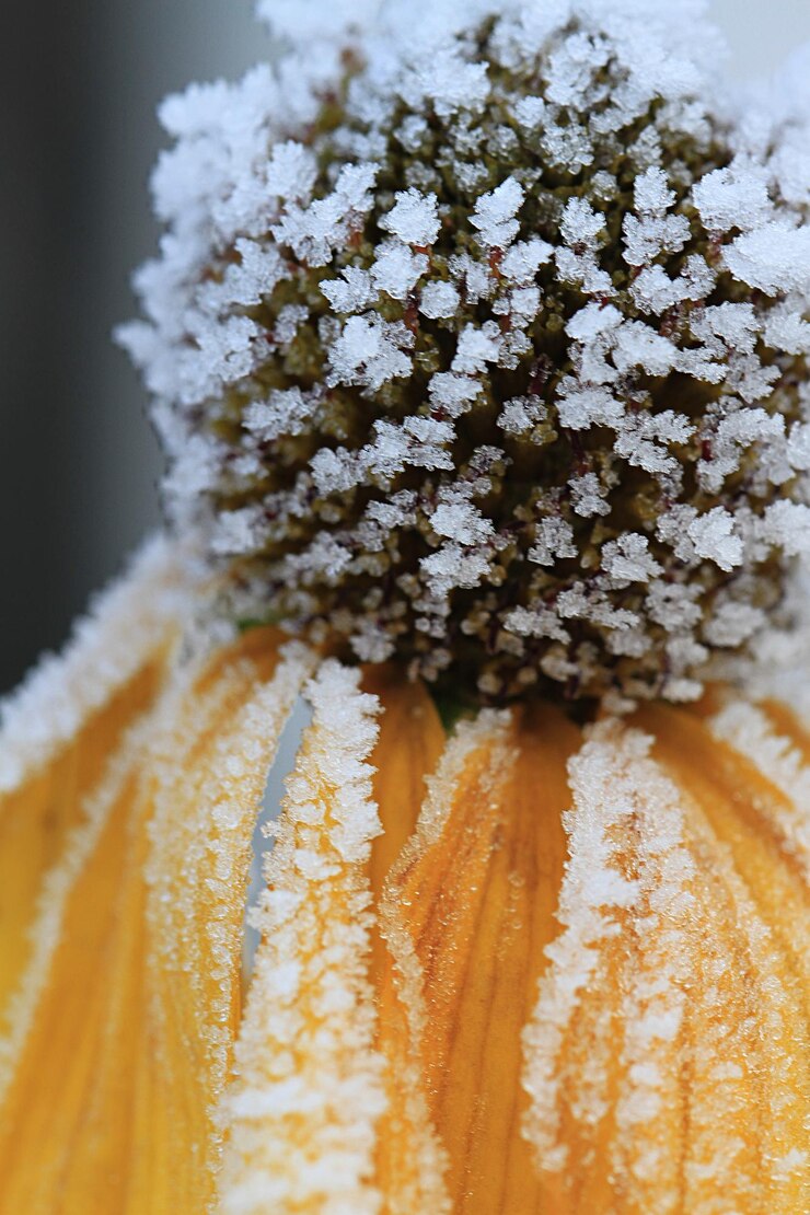 Foto close-up de sorvete na neve