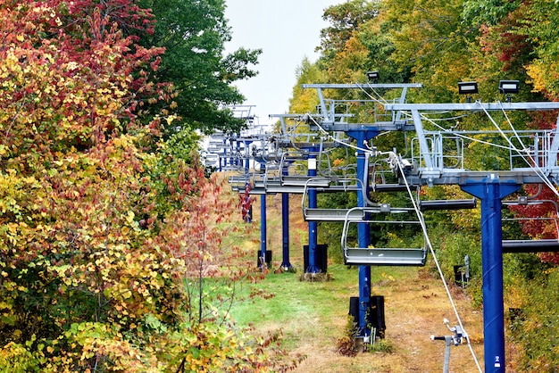 Foto close-up de teleféricos em uma floresta