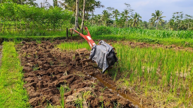 close-up de terra arável verde arado por trator em java indonésia