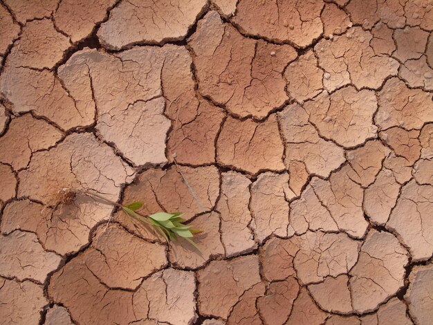 Foto close-up de terra rachada