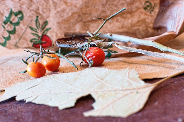 Close-up de tomates em folha
