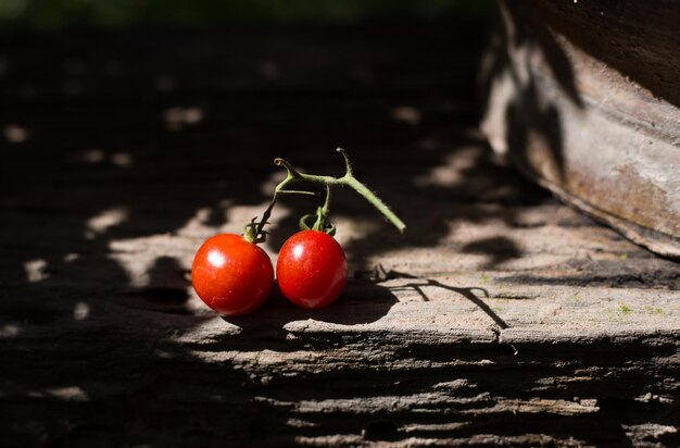 Close-up de tomates na parede de suporte