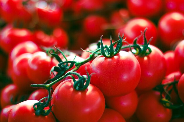 Foto close-up de tomates