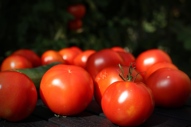Close-up de tomates