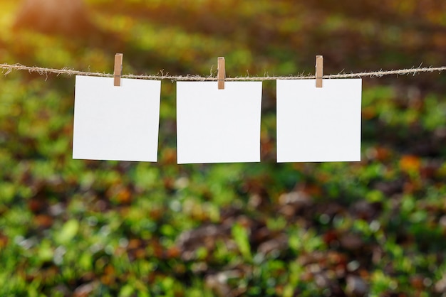 Close-up de três papéis de nota branco pendurados por cabides de madeira