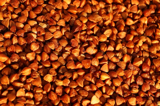 Close-up de trigo sarraceno