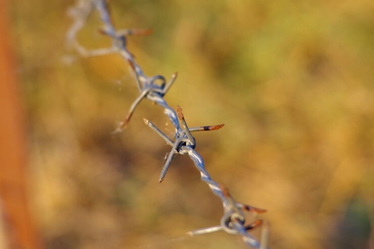 Foto close-up de um arame farpado