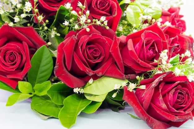 Close-up de um bouquet de rosas
